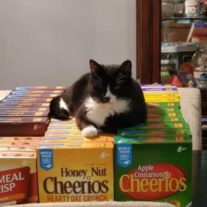 Meet your Posher, Nichole